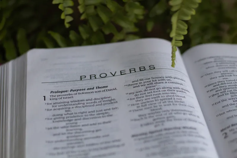 why is the book of proverbs important