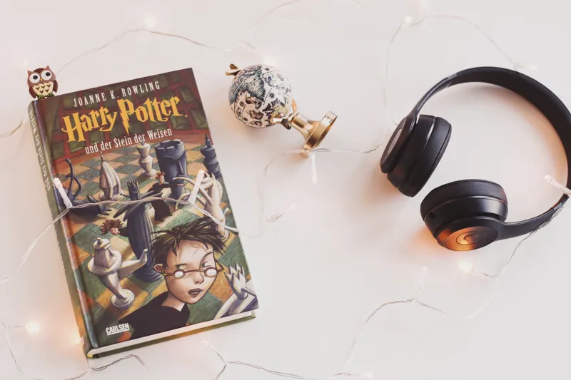 is harry potter a novel or book